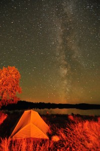 clearwater milky way night sky