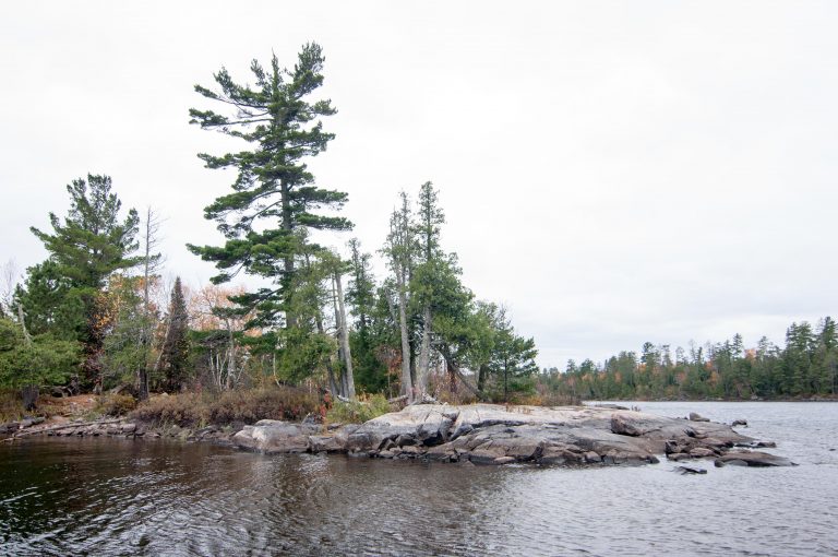 Saganaga Lake Campsites BWCA Campsite Reviews Clearwater Lodge