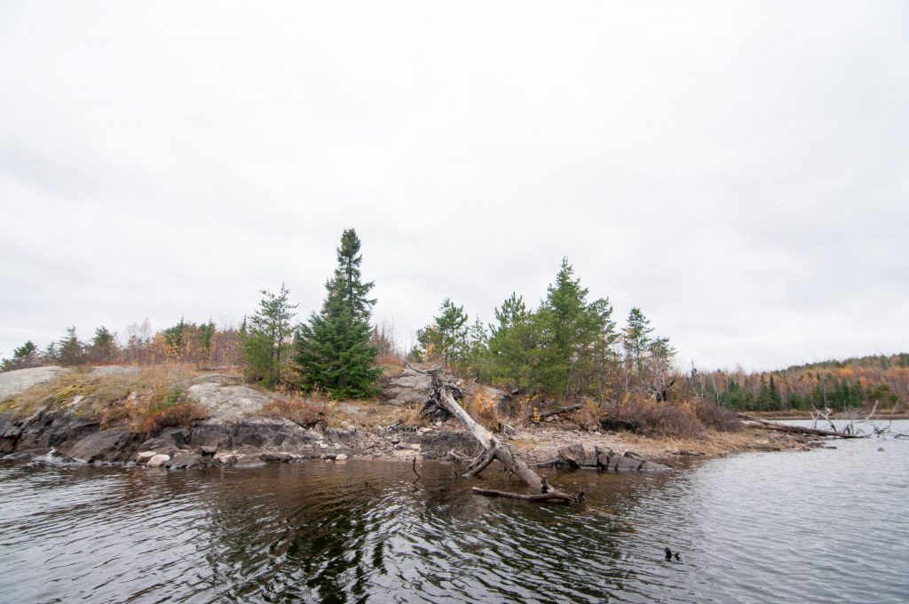 Saganaga Lake Campsites BWCA Campsite Reviews Clearwater Lodge