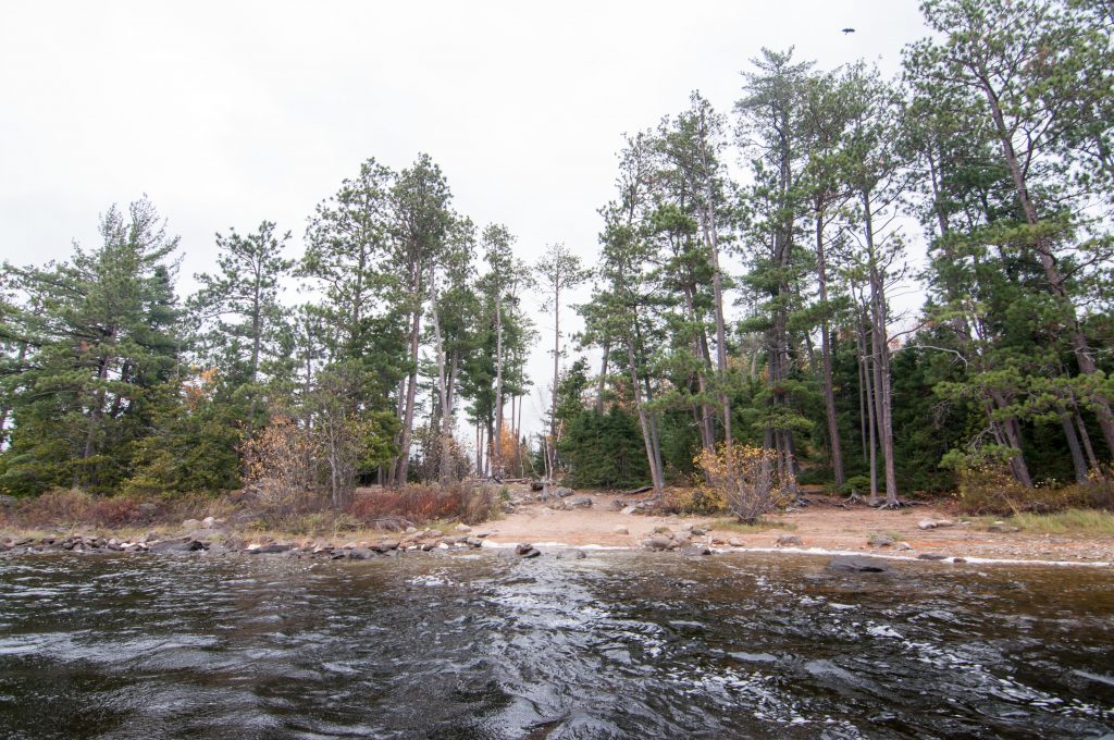 Saganaga Lake Campsites BWCA Campsite Reviews Clearwater Lodge