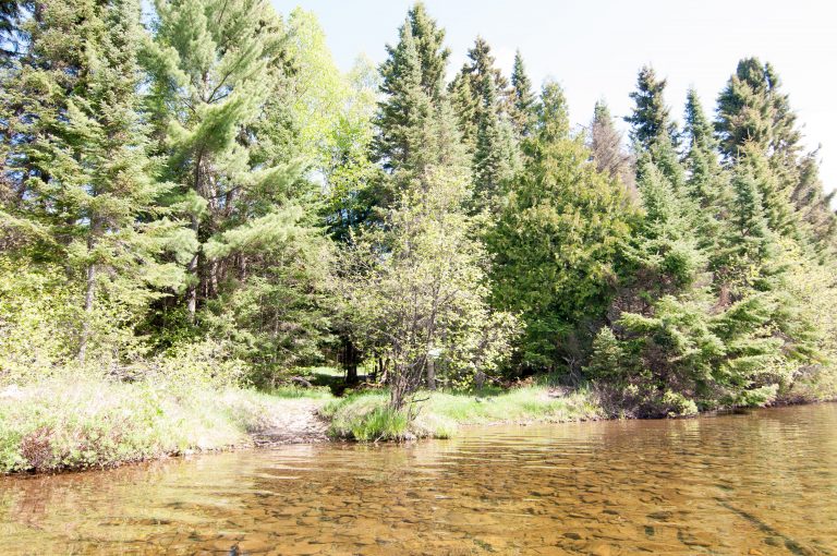 Caribou Lake Campsite Reviews Clearwater Historic Lodge