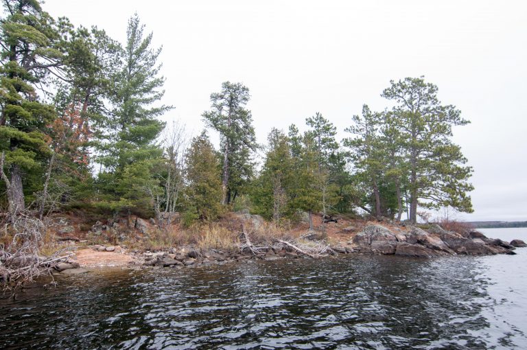 Saganaga Lake Campsites BWCA Campsite Reviews Clearwater Lodge