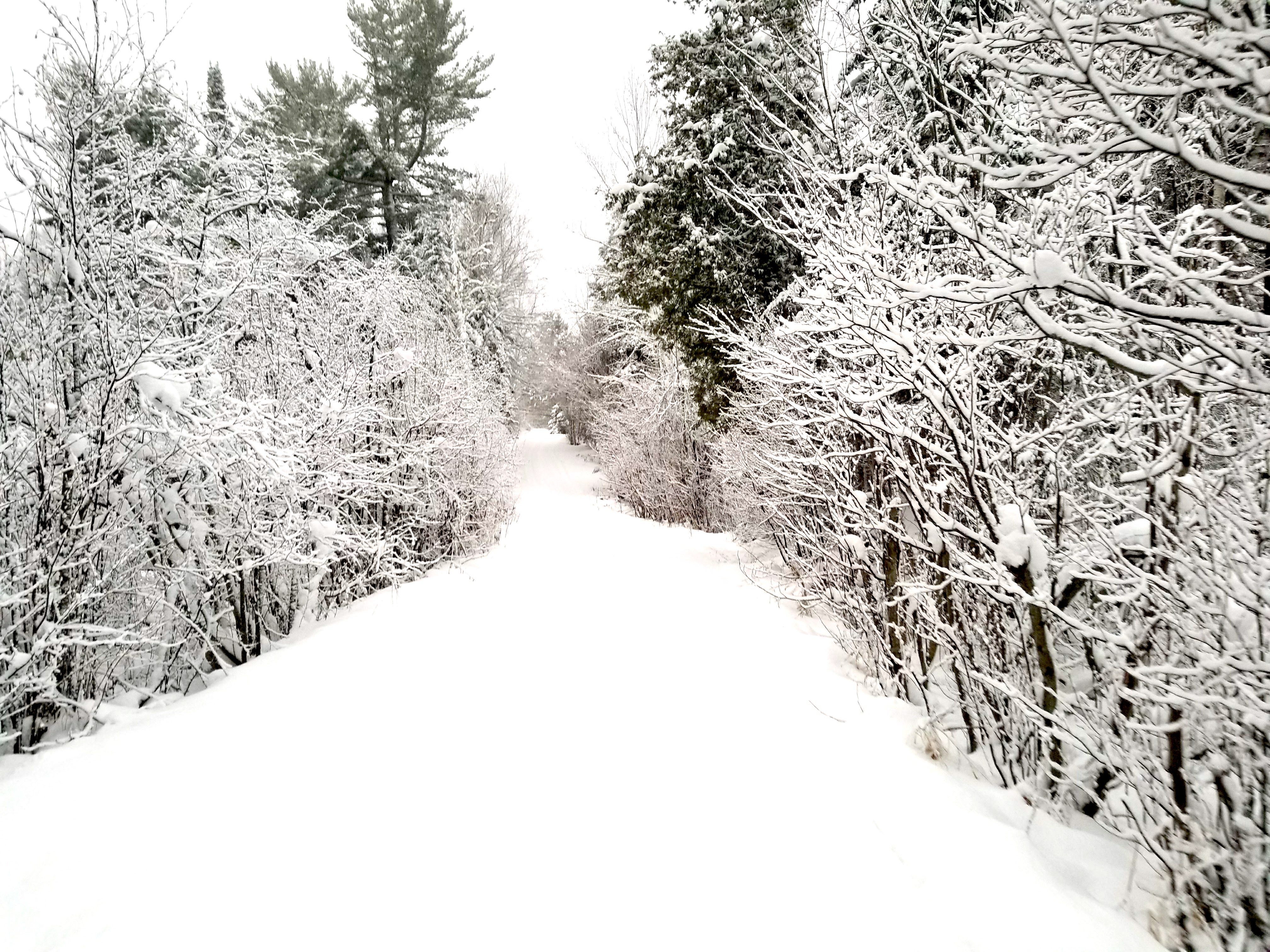 BWCA Winter Cabins Gunflint Trail Cabins & Lodge Clearwater