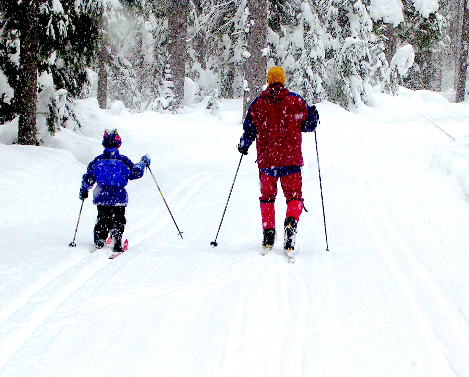 Лыжники 4 10. Катание на беговых лыжах. На лыжах. Покататься на лыжах. Дети на беговых лыжах.